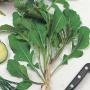 Roquette